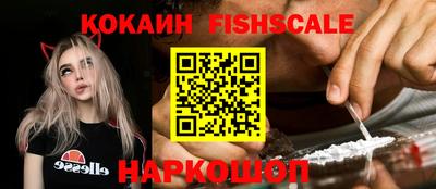 гашик Моздок