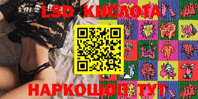 гашик Моздок