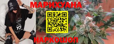 гашик Моздок