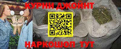 гашик Моздок