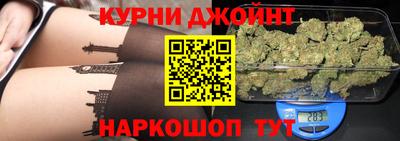 гашик Моздок