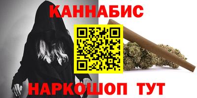 гашик Моздок