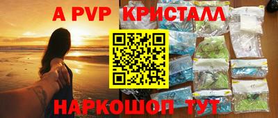 гашик Моздок